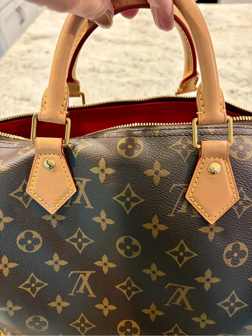 Louis Vuitton iconic louis